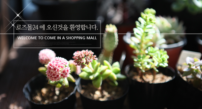 �Ұ��̹���