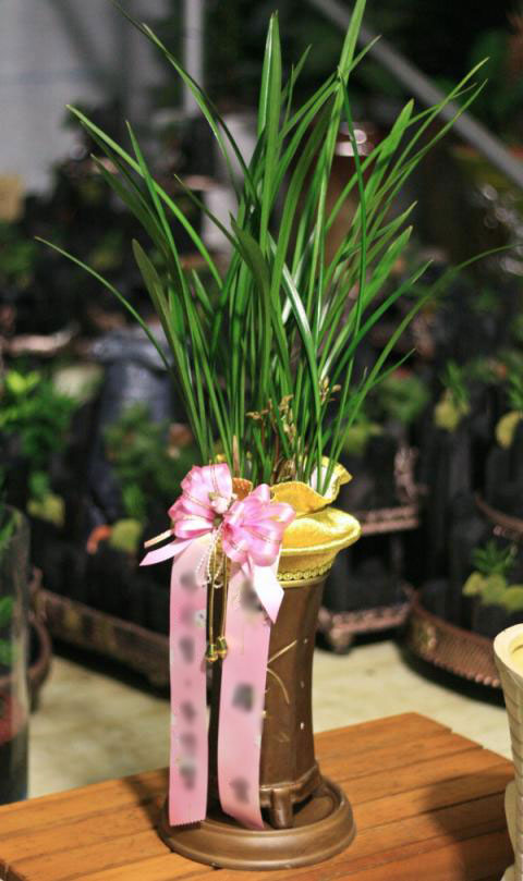 ����� ö��