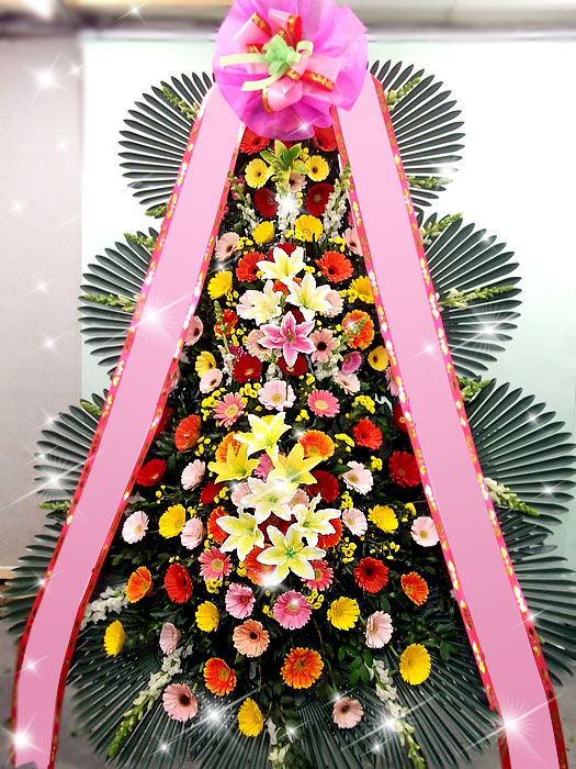 ����ȭȯ!!��ȥ��!!