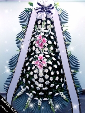 ����ȭȯ!!�����!!