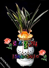 Ȳ���!!���������ǰ!!