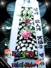 ����ȭȯ ���� ��Ȱ���ǰ!!