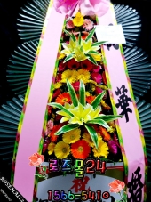 ����ȭȯ ����  ��Ȱ�� ��ǰ!!