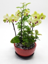 �̴�ȣ�� ����!