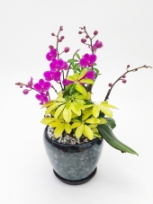 ��õȫ ������!