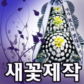 ����ȭȯ �α��ǰ!